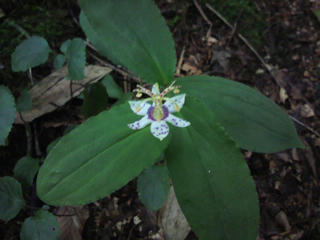 P1020116.JPG
