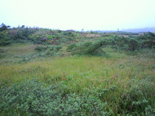 P1020093.JPG