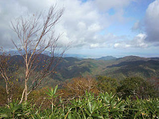 3999440396_f00f4524a5_m.jpg