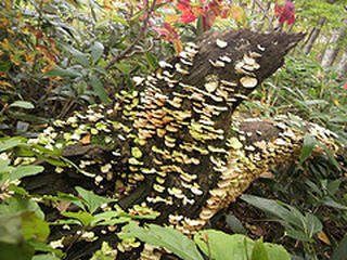 4005838031_03352c5a5e_m.jpg