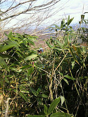 4006603916_2007e0af7d_m.jpg