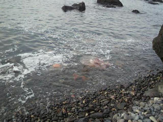 P1020003.JPG