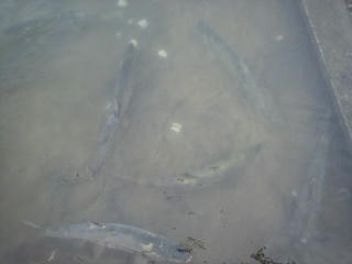 2009111414530001.jpg