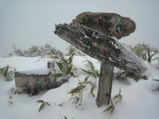 P1020101.JPG
