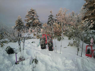 P1020008mini.JPG