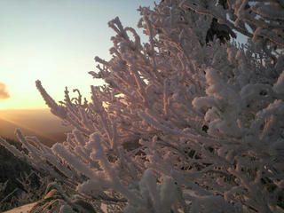 P1020009mini.JPG