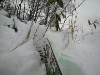 P1020010.jpg