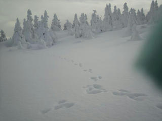 P1020013s.JPG