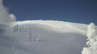 2010022010000000.jpg