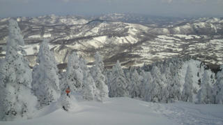 2010022010120000.jpg