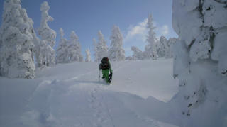 2010022010020000.jpg