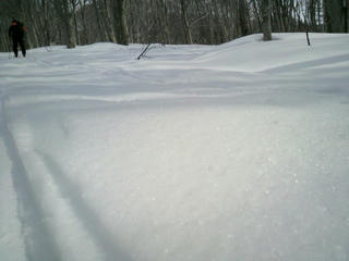 2010030709260001.jpg