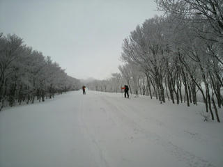 2010030710210000.jpg