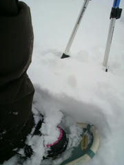 2010031211260000.jpg