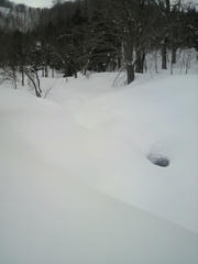 2010031211340000.jpg