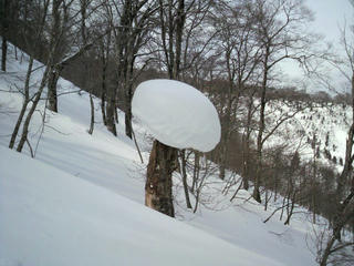 2010031212130000.jpg