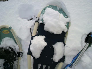 2010031212240000.jpg