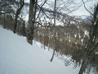 2010031212050000.jpg