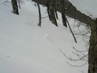 2010031214050000.jpg