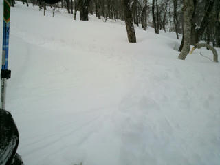 2010031213580000.jpg