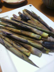 2010051420400001.jpg