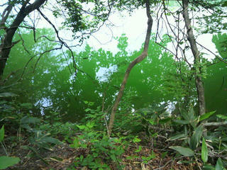 2010061211550000.jpg