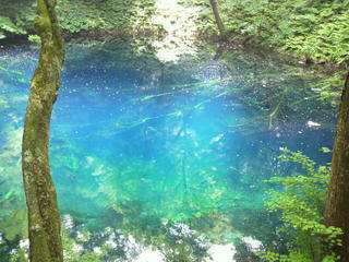 2010061211590000.jpg
