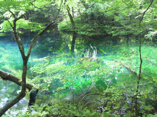 2010061212190001.jpg