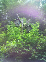 2010061212250000.jpg