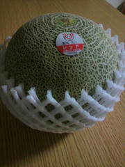 2010080522110000.jpg