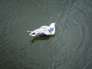 2010_0904_121518.JPG