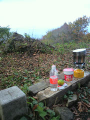 2010_1016_123600.JPG