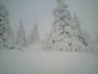 2010122616550000.jpg