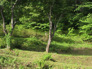 P1000001.JPG