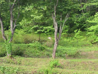 P1000002.JPG