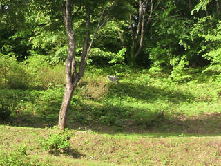 P1000003.JPG