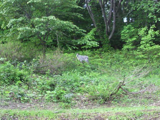 P1000004.JPG