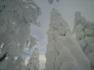 1201150005.JPG