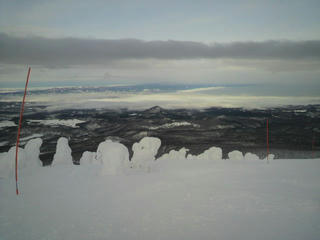 1201220001.JPG