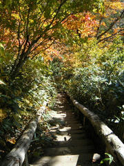 DSCF2503.JPG