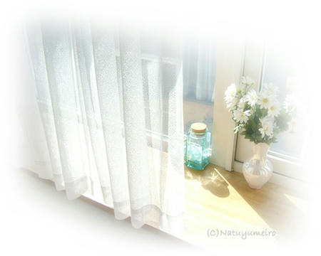 window12.jpg