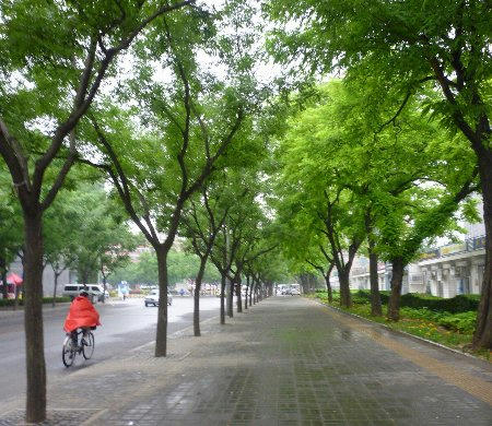 P1050268.JPG
