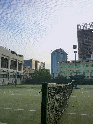 P105094.jpg