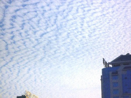 P1050950.jpg