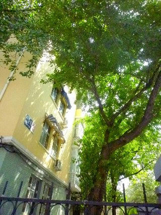 P1060991.JPG