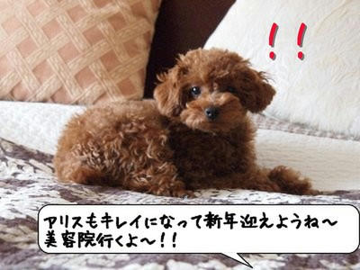 kako-6CxHt3wq59nrPpq8.jpg