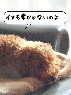 20101231_170116.jpg