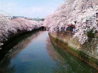 201104101345.jpg