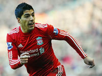 20110106_Suarez.jpg