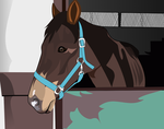 horse0718.png